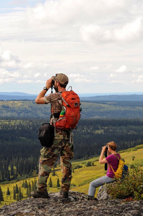Caribou Lodge Alaska Talkeetna Esterno foto