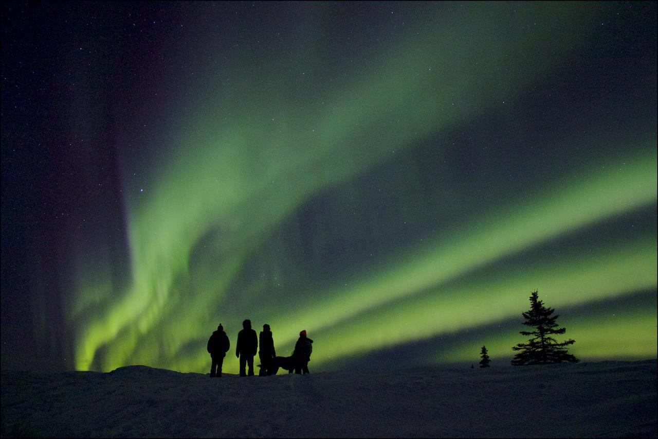 Caribou Lodge Alaska Talkeetna Esterno foto
