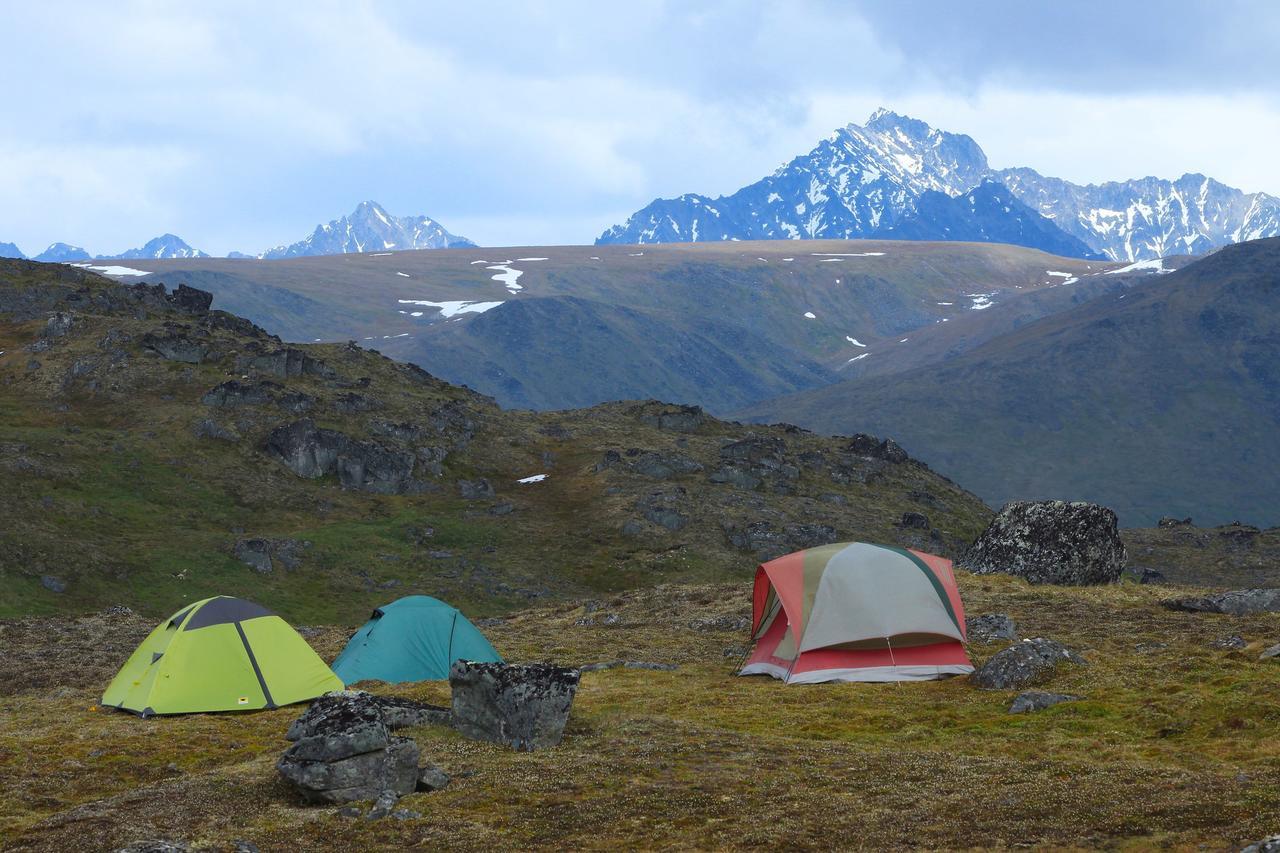 Caribou Lodge Alaska Talkeetna Esterno foto