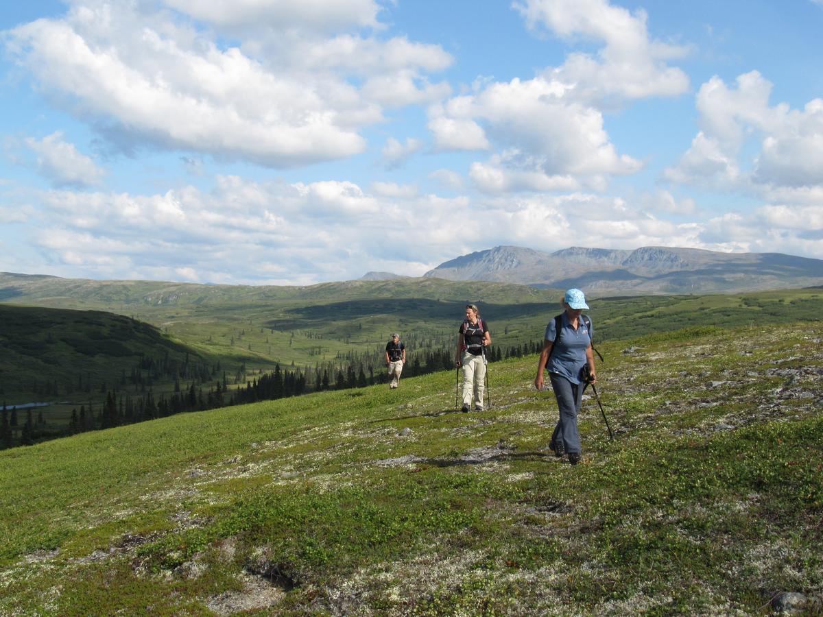 Caribou Lodge Alaska Talkeetna Esterno foto