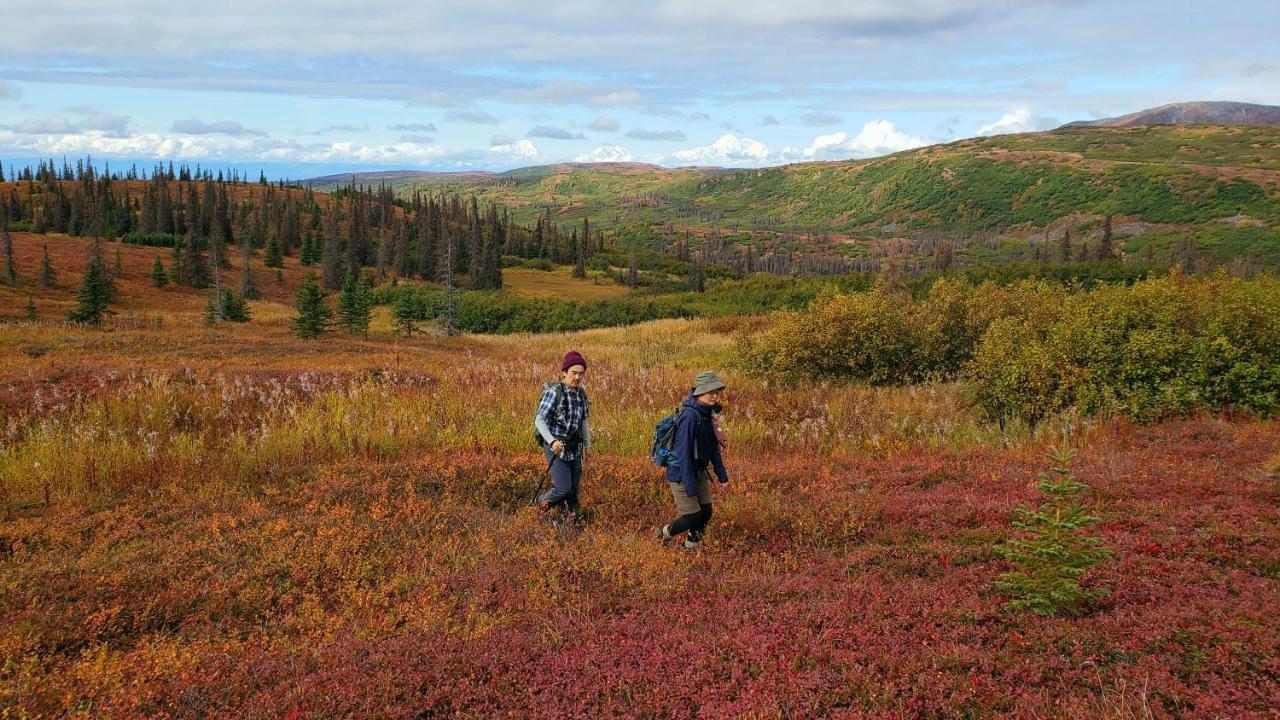 Caribou Lodge Alaska Talkeetna Esterno foto
