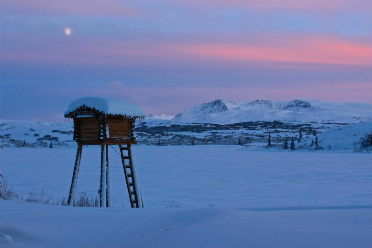 Caribou Lodge Alaska Talkeetna Esterno foto
