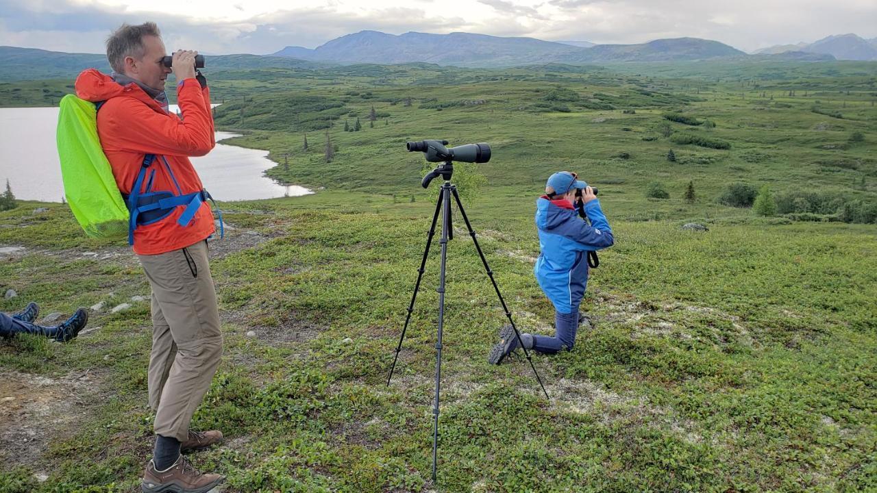 Caribou Lodge Alaska Talkeetna Esterno foto