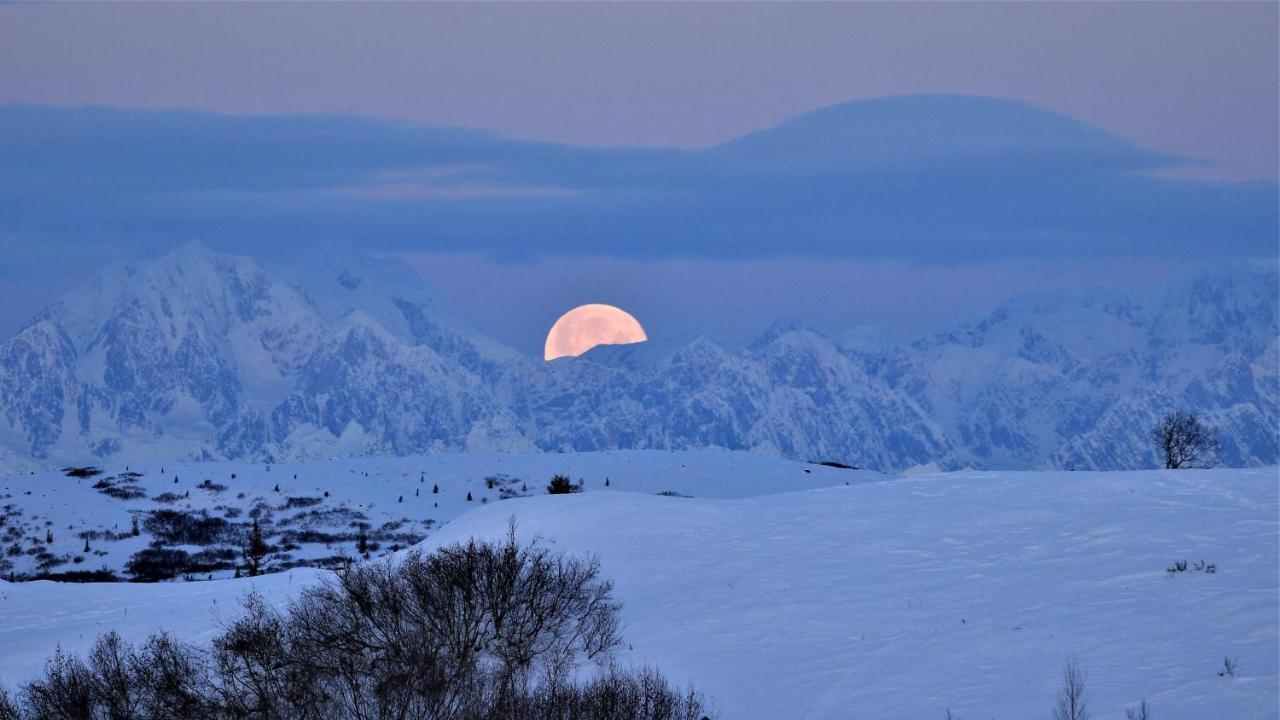 Caribou Lodge Alaska Talkeetna Esterno foto