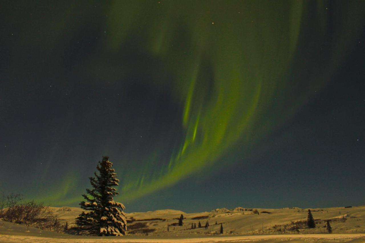 Caribou Lodge Alaska Talkeetna Esterno foto