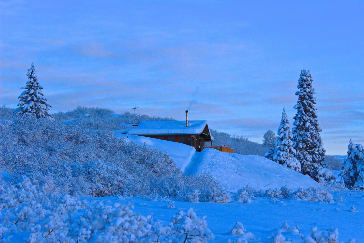 Caribou Lodge Alaska Talkeetna Esterno foto